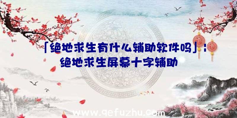 「绝地求生有什么辅助软件吗」|绝地求生屏幕十字辅助